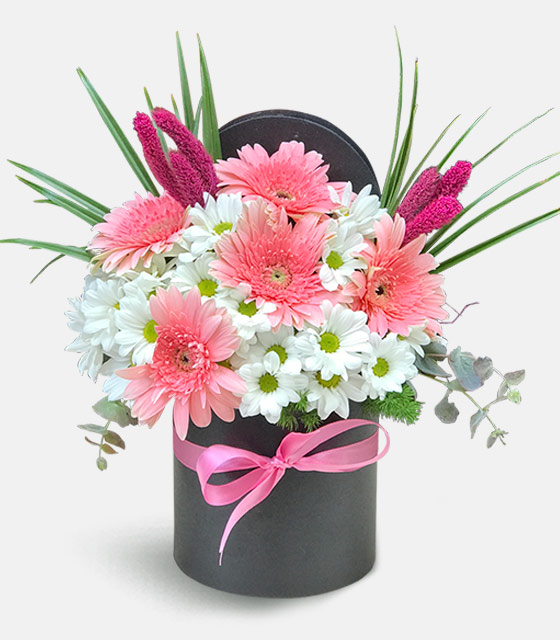 Kutuda Papatya ve Gerbera