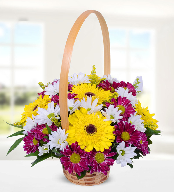 Sarı Gerbera ve Renkli Krizantem