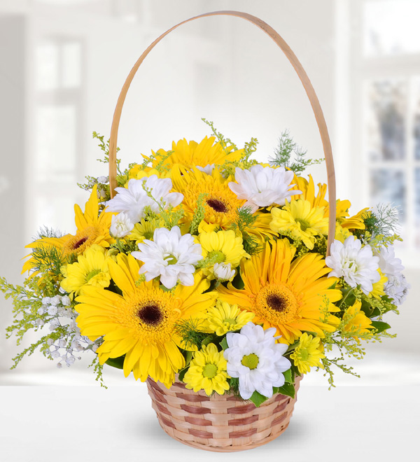 Sarı Gerbera ve Krizantemler