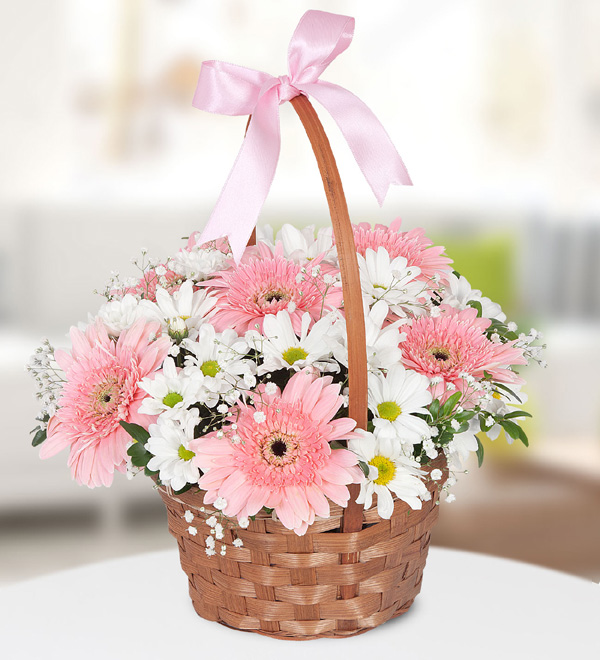Gerbera Krizantem Sepeti